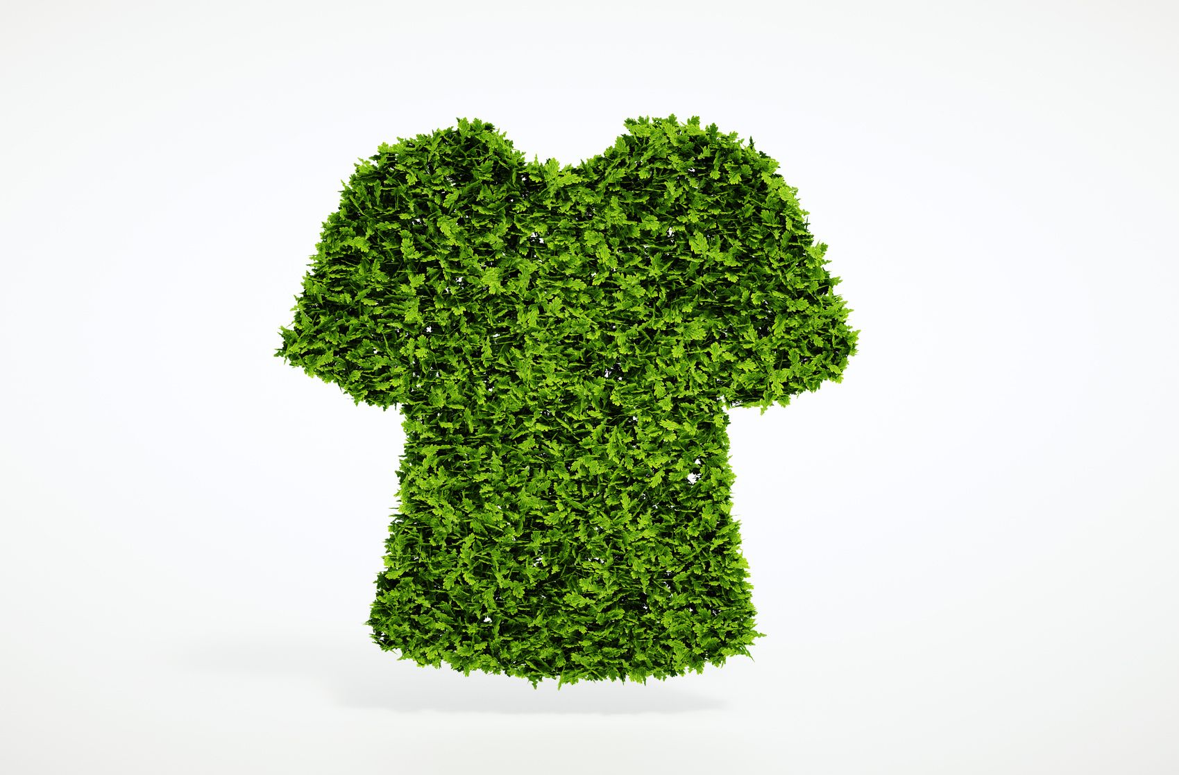 The Top Sustainable and Eco-friendly Fashion Materials of 2024