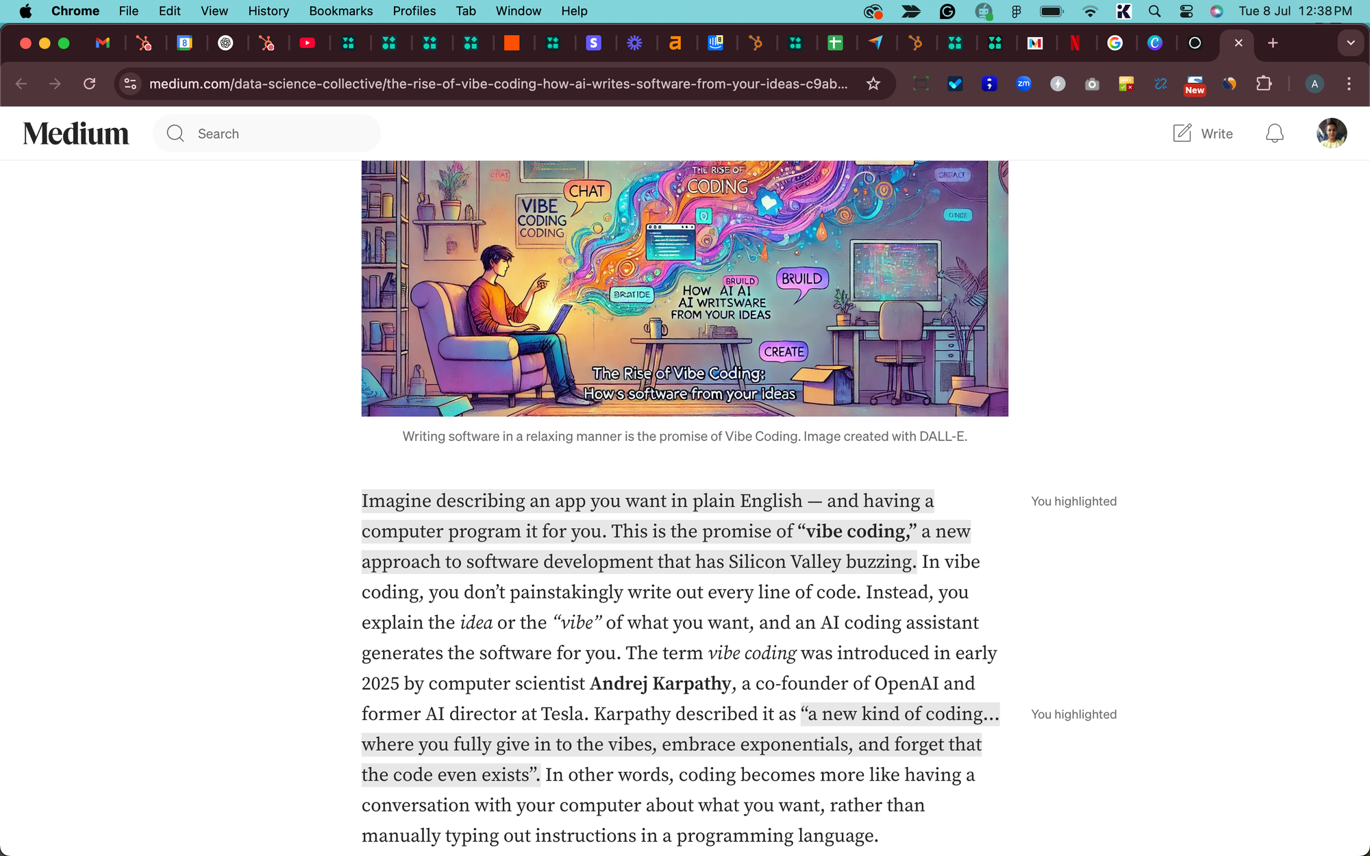 Medium article snippet - The Rise of vibe Coding